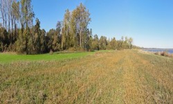 Field by River