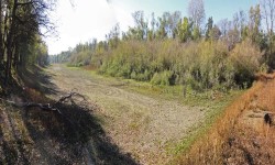 Food Plot