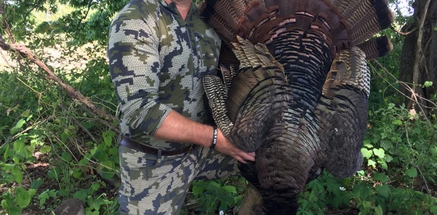 Turkey 2017.5